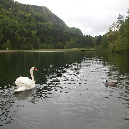 Apartman Haus Alpenrose *