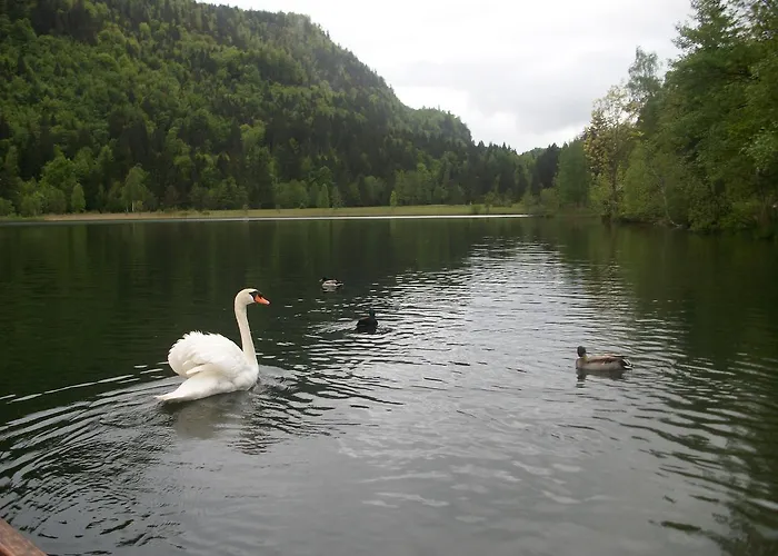 Appartement Haus Alpenrose *