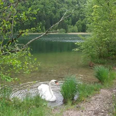 Haus Alpenrose Apartment